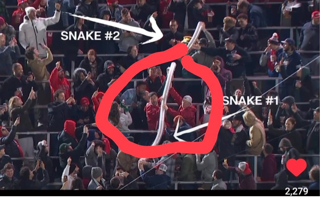 VanillaGorilla tweet media