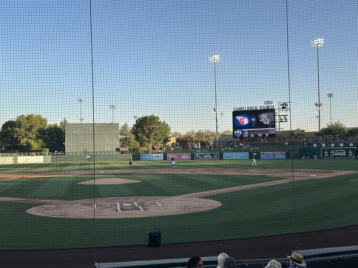 Stephanie Liscio tweet media