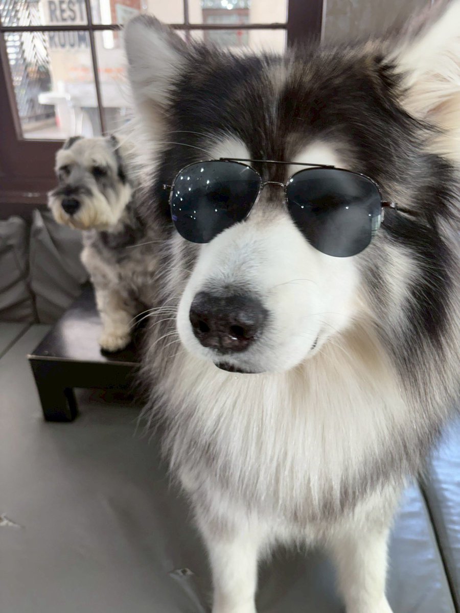 He told me(ฮิโตมิ) tweet media