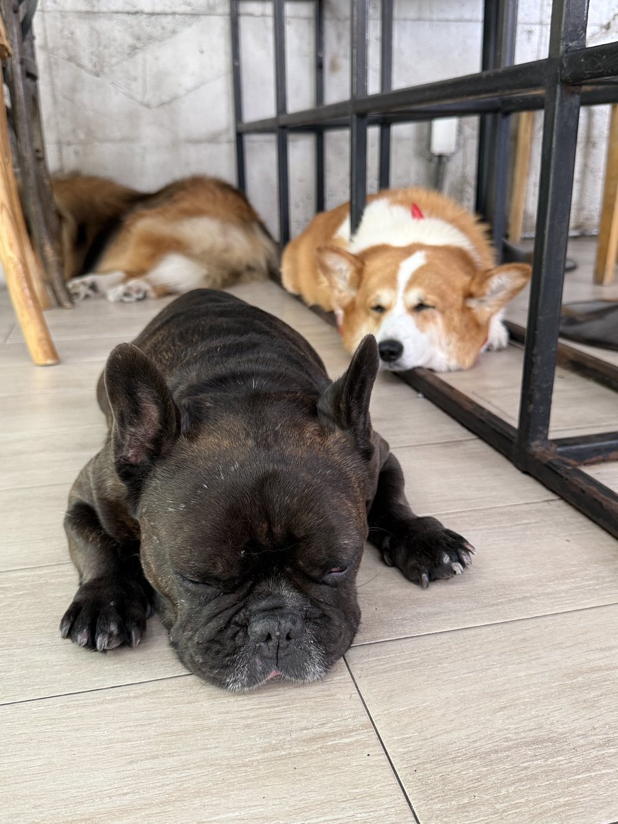 He told me(ฮิโตมิ) tweet media