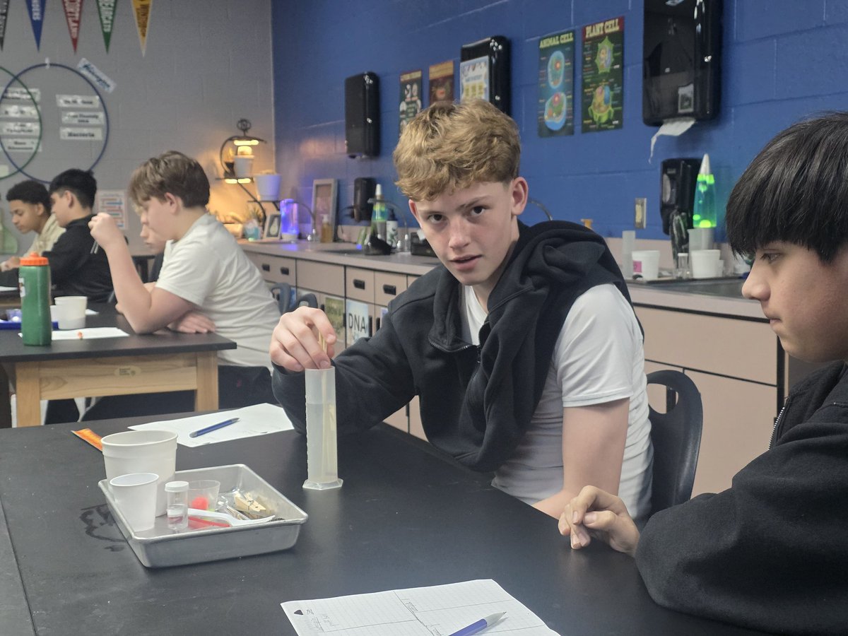 Do you have what it takes to survive? 🐻♥️🔎 #bearsrising #ISDstrong