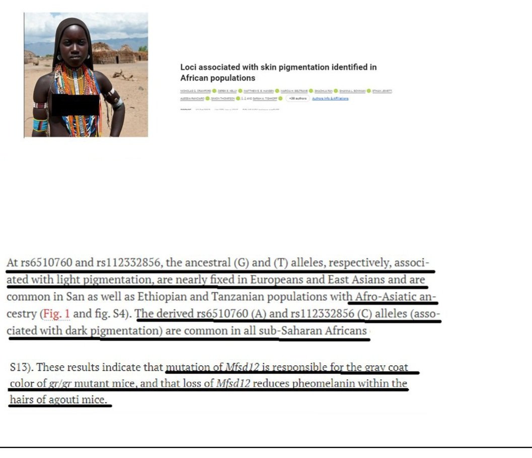 Astral Root tweet media