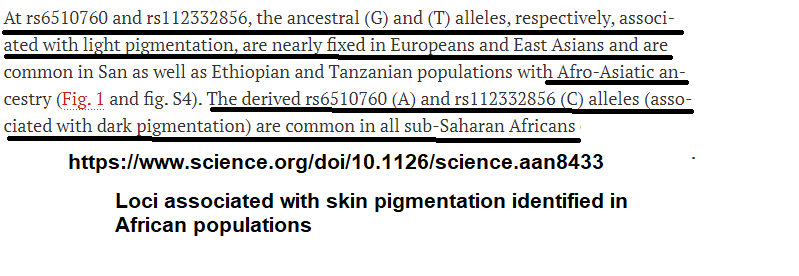 Astral Root tweet media