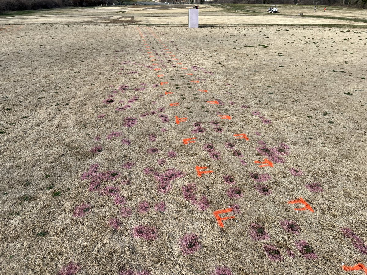 Shawn Askew, Ph.D. tweet media