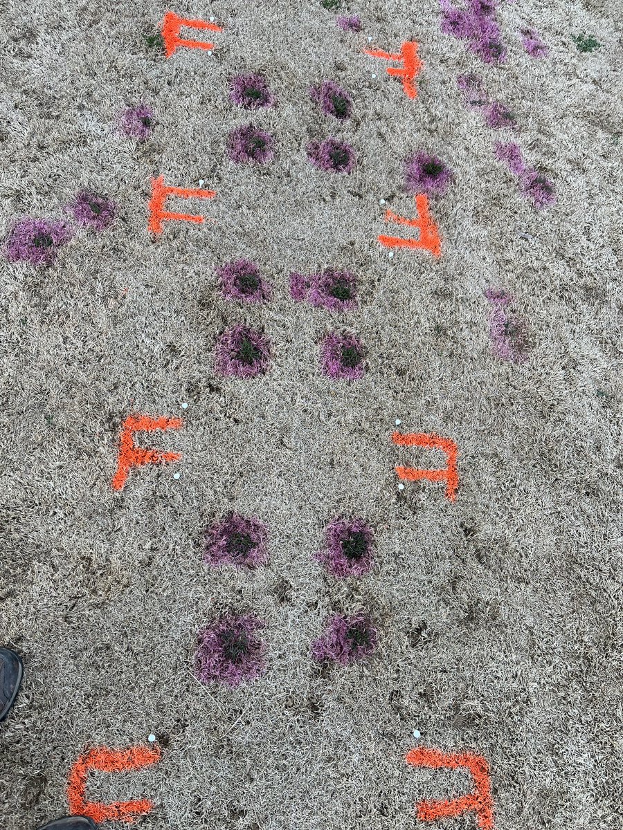 Shawn Askew, Ph.D. tweet media