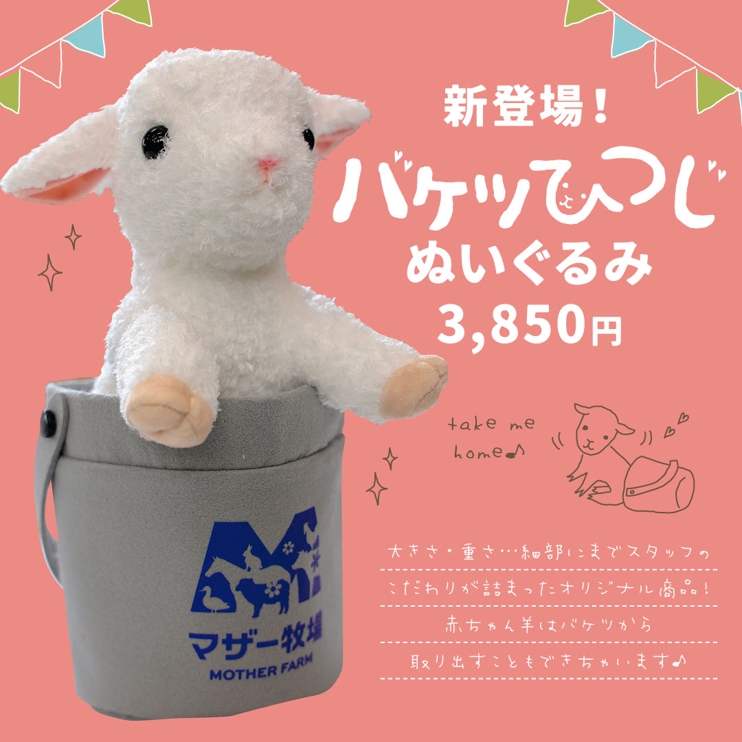 マザー牧場 tweet media