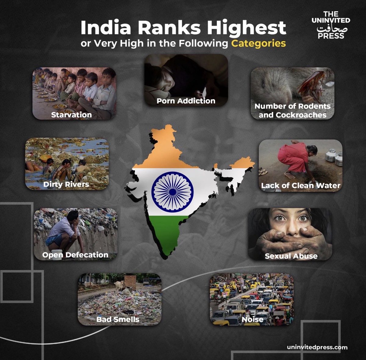 Al 🇺🇸 tweet media