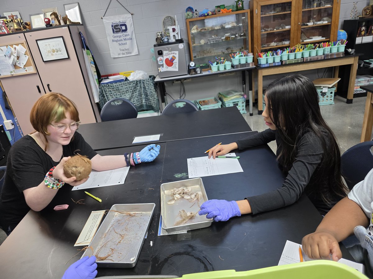 Adaptations in the lab! 🐻♥️🔎 #bearsrising #ISDstrong