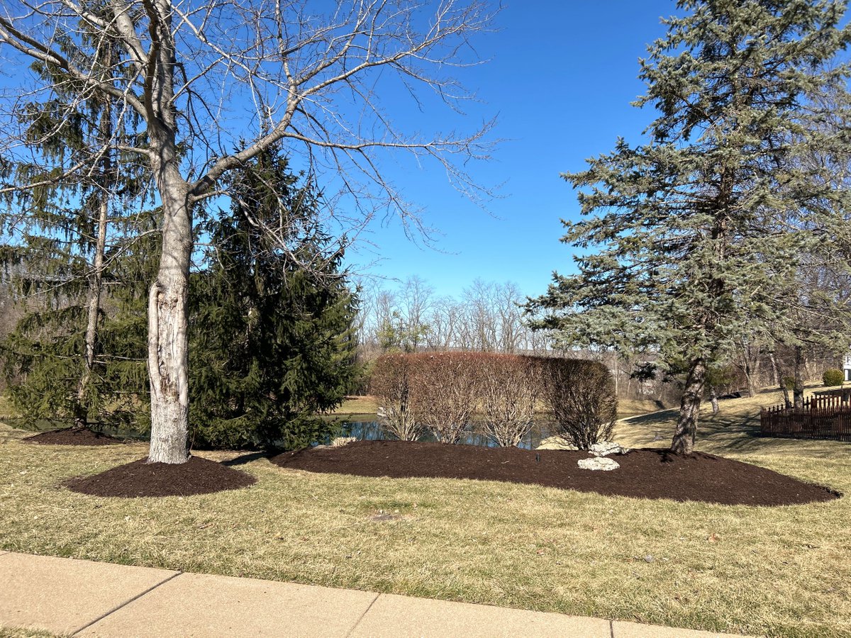 Setting the tone for the entire community.