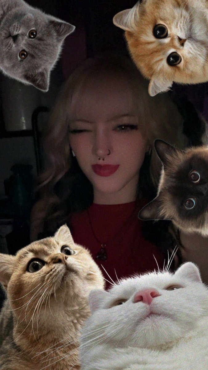 bex 🦇 tweet media