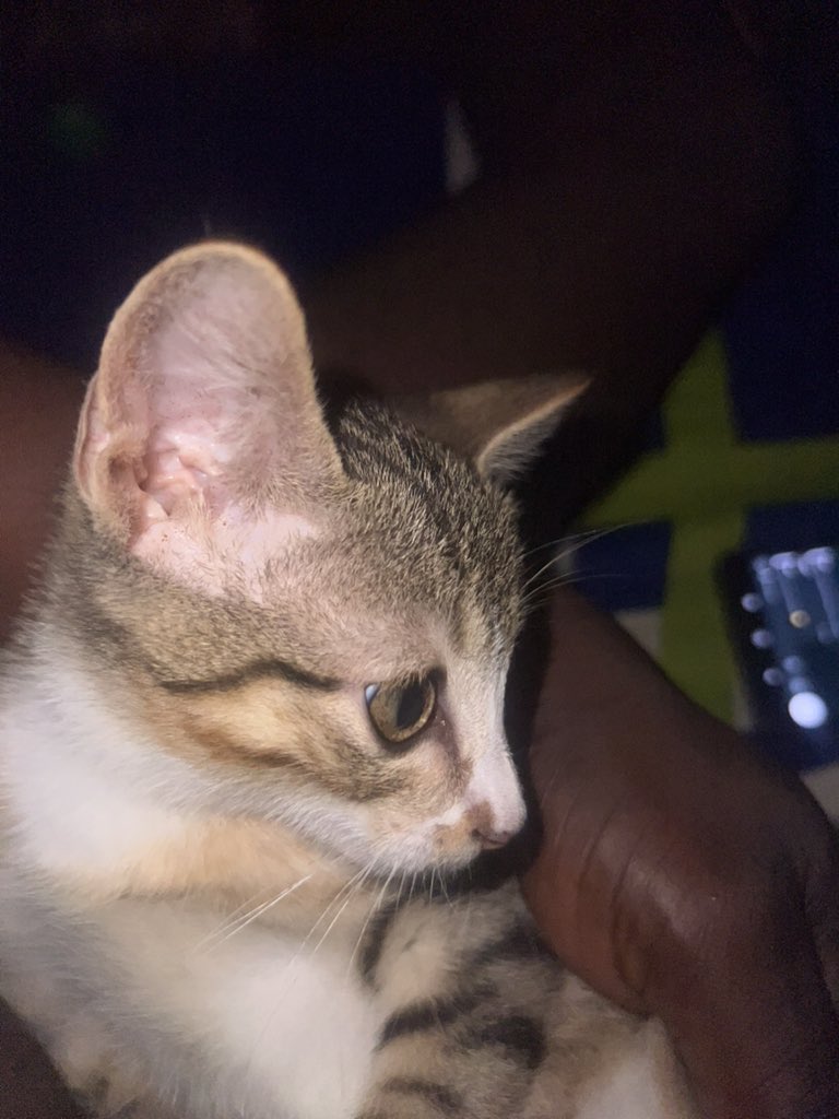 CJ 😎😈 ✌🏾. asterai.xyz tweet media