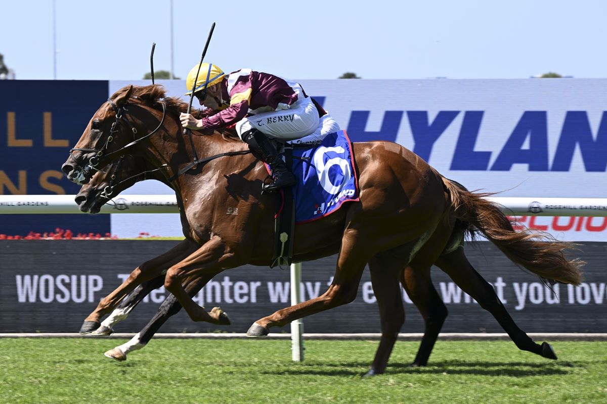 NZ Racing News tweet media