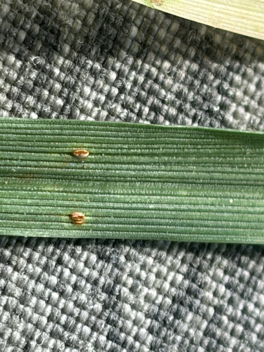 Tom Allen tweet media