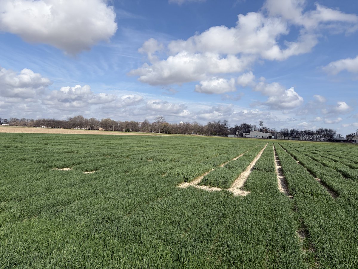 Tom Allen tweet media