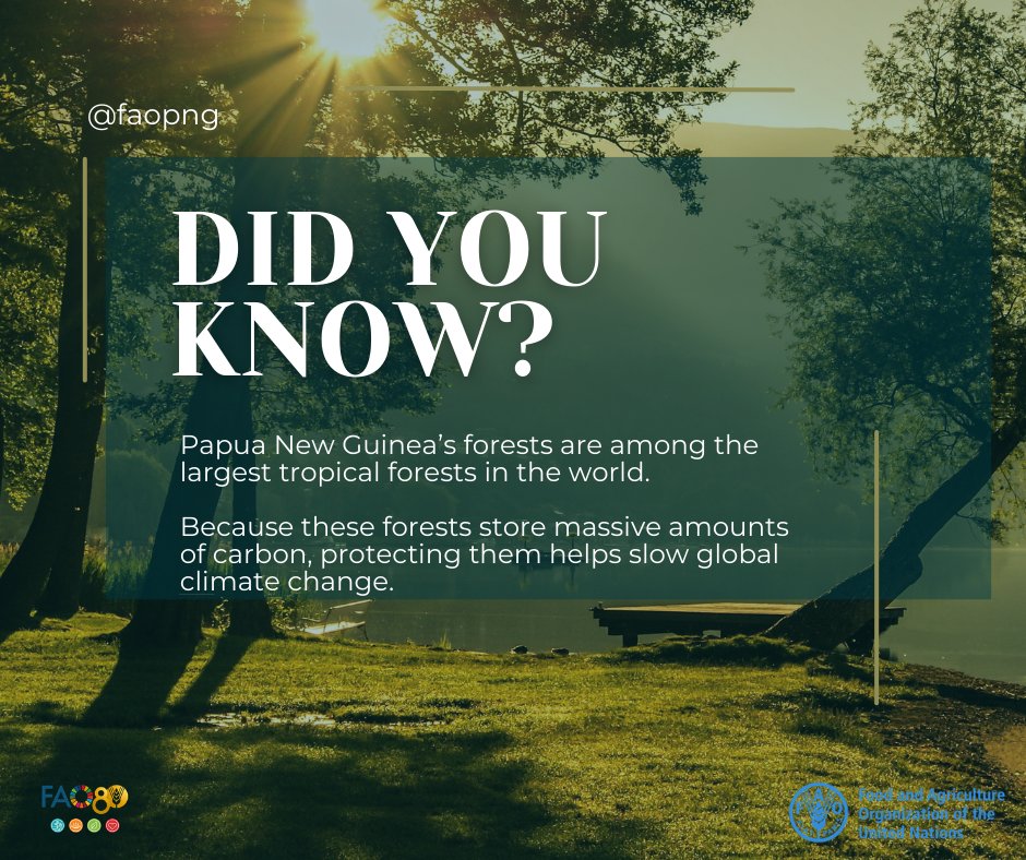 FAO Papua New Guinea tweet media