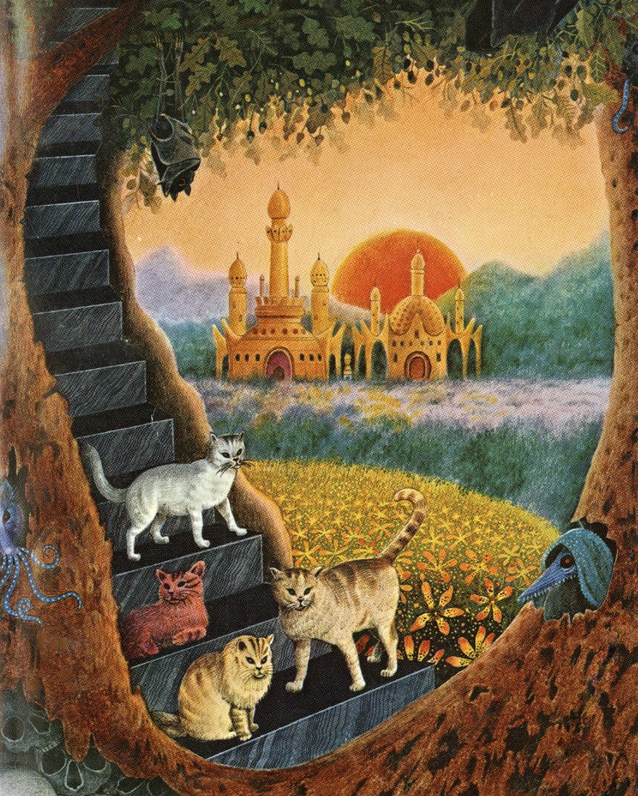 Shea Swauger tweet media