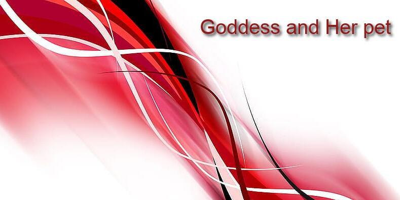 FemdomWorldNew tweet media