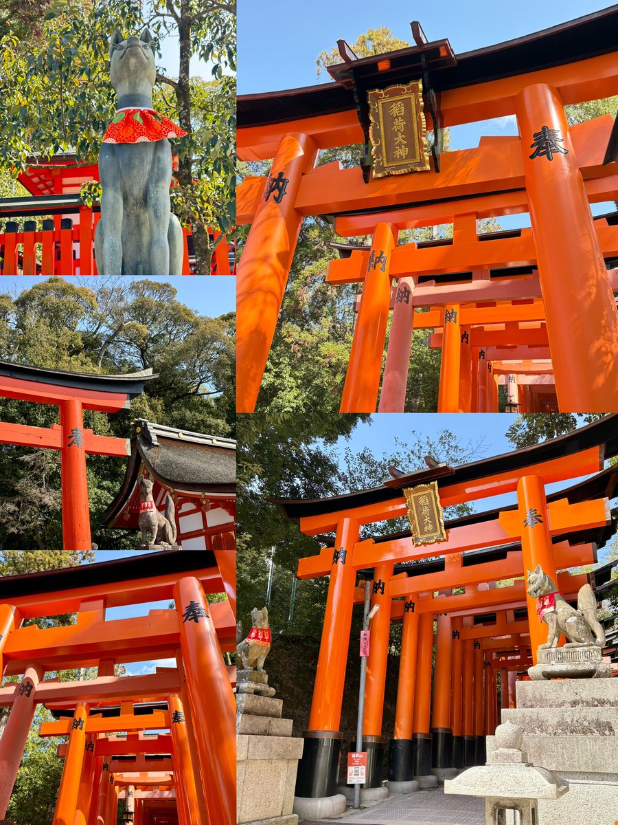 伏見稲荷大社へ
千本鳥居すごかったー⛩⛩⛩
おみくじは大吉でした
なんと昨日は最強開運日だったみたい！！
そんな日に行けてほんとよかった✨️