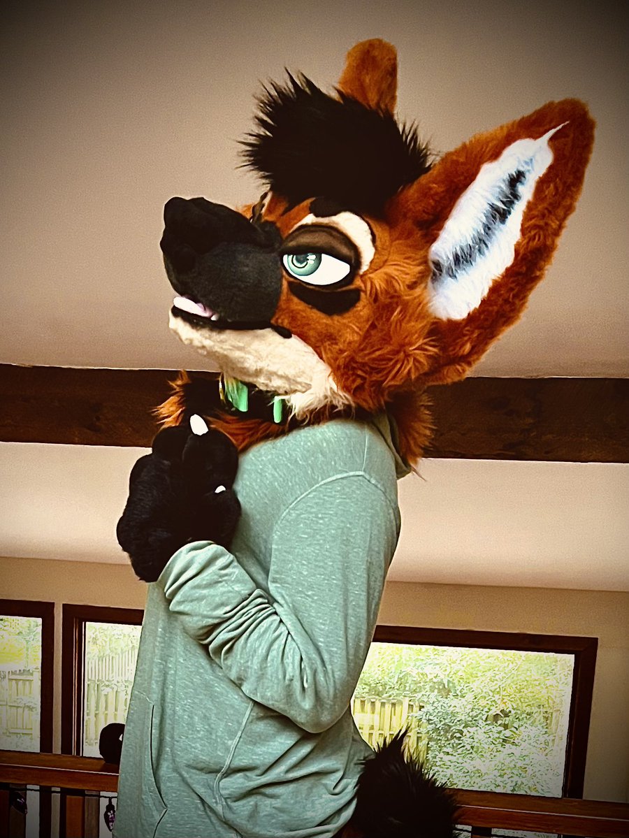 LUͦʷCͦK 🔜 LVFC tweet media