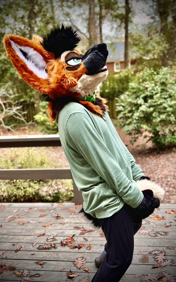 LUͦʷCͦK 🔜 LVFC tweet media