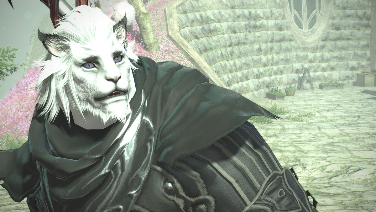 FenrirEXE's tweet photo. Yea me too bud, me too.

#ロスガル #Hrothgar #FFXIV #Shadowbringers https://t.co/Q3BZQS3N4v