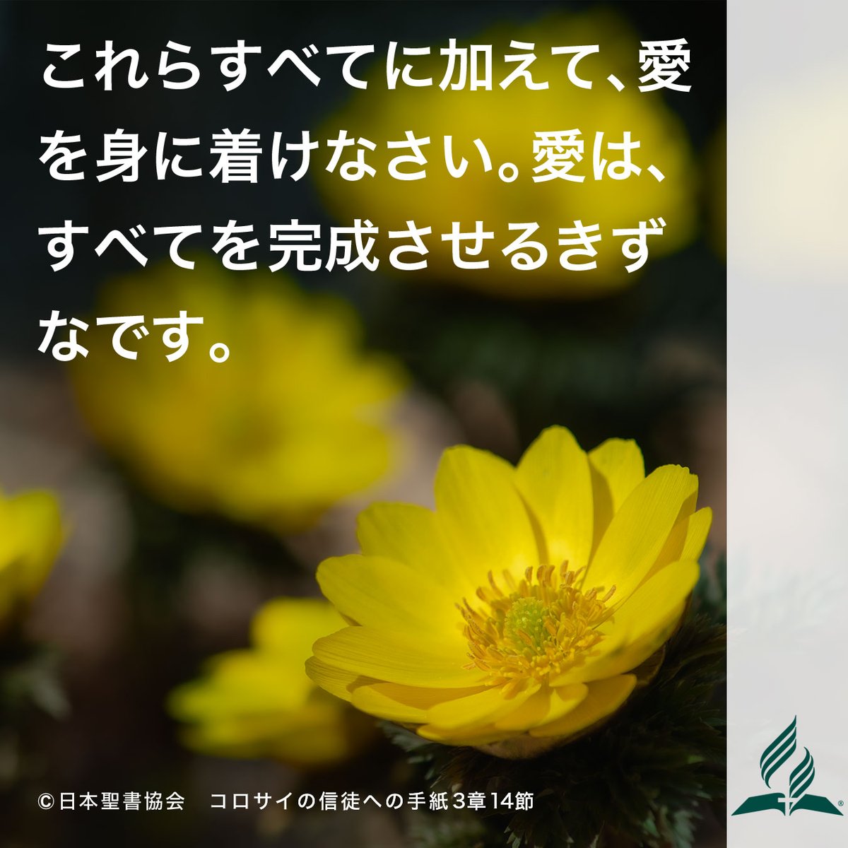 adventistjp's tweet photo. 祝福された安息日も終わり、新しい週が始まりました。
この暗唱聖句を心に留め、主と共に歩んでいきましょう。

#今週の暗唱聖句
#暗唱聖句
#聖書
#セブンスデーアドベンチスト教会 https://t.co/5hBNLSpl4z