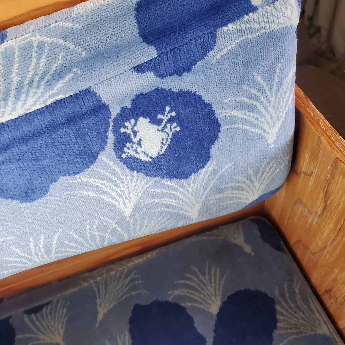 蛙旅団 tweet media