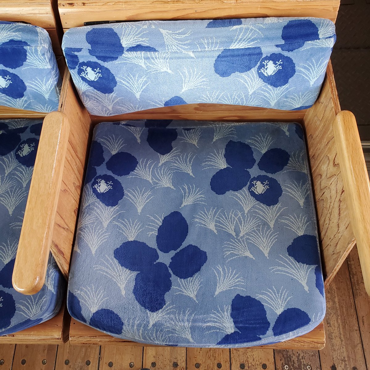 蛙旅団 tweet media