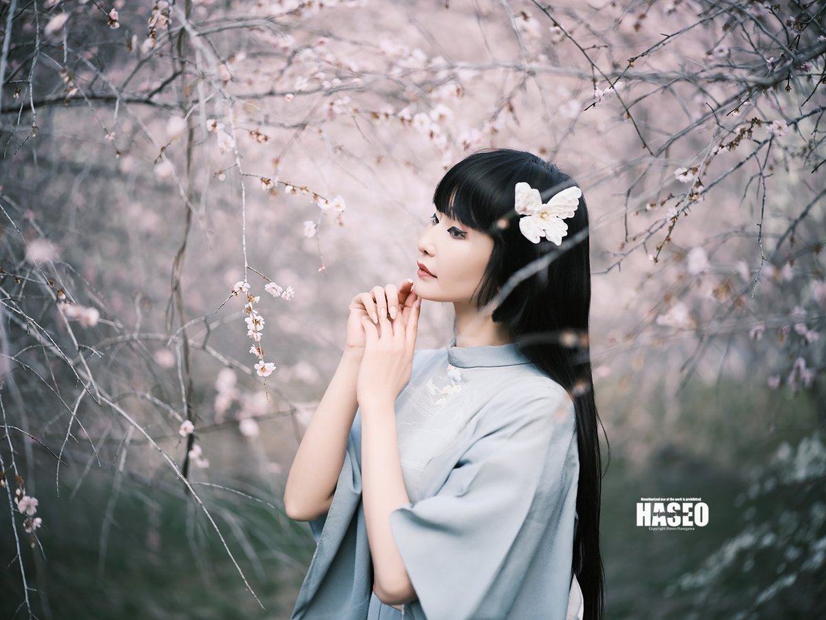 HASEO HASEGAWA tweet media