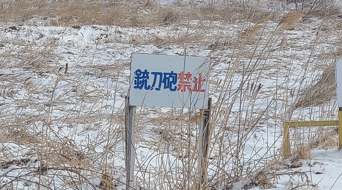 おおくら tweet media