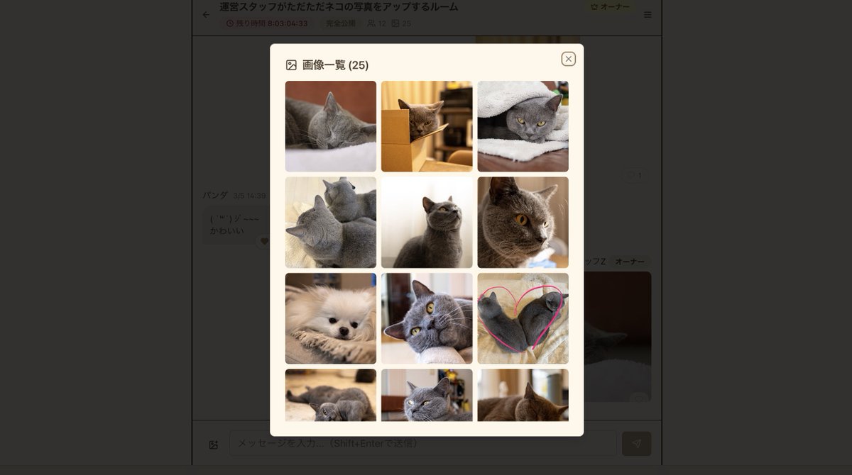 jigentalk's tweet photo. トークルームに今まで送信された画像数が表示されるようになりました。画像数をタップすると、画像一覧を見ることができます。 https://t.co/NjhhEak0Y9