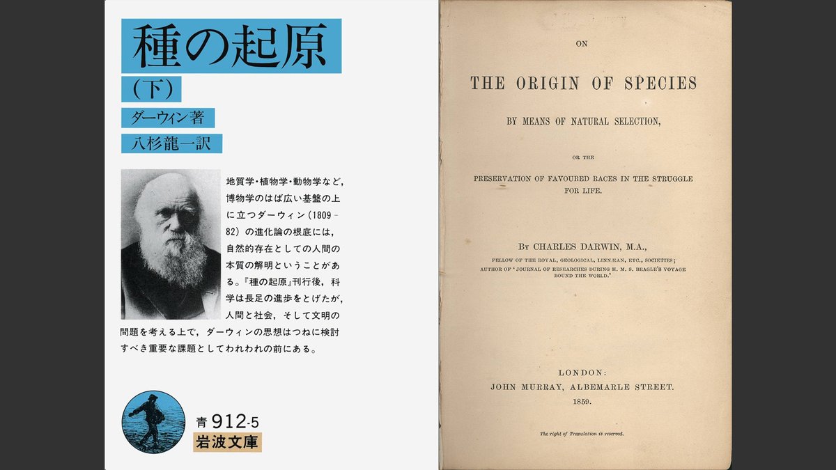 DJ TECHNORCH (テクノウチ) 💯🦂 九十九音夢 (Tsukumonemu) tweet media