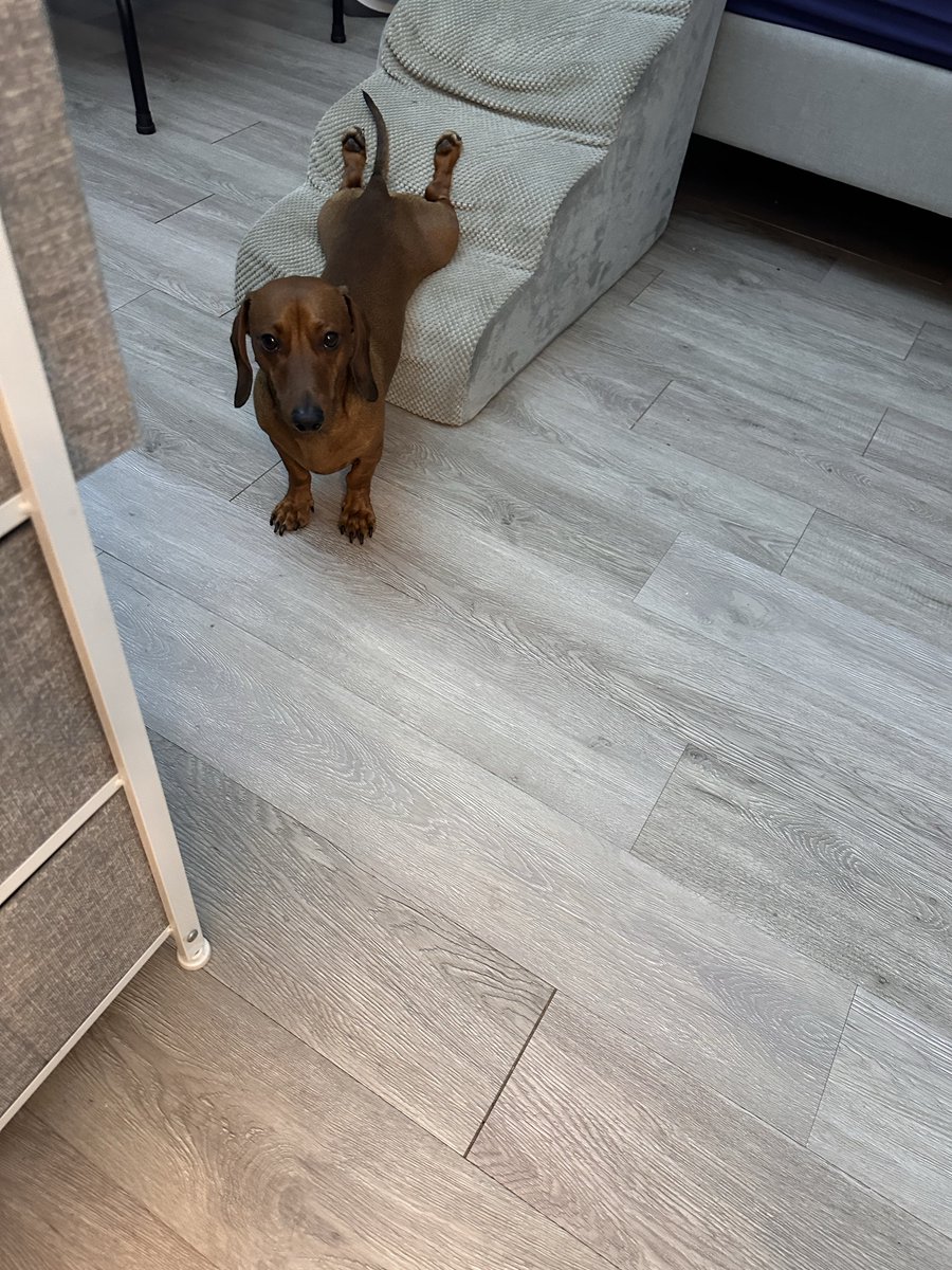 Carey Phillips tweet media