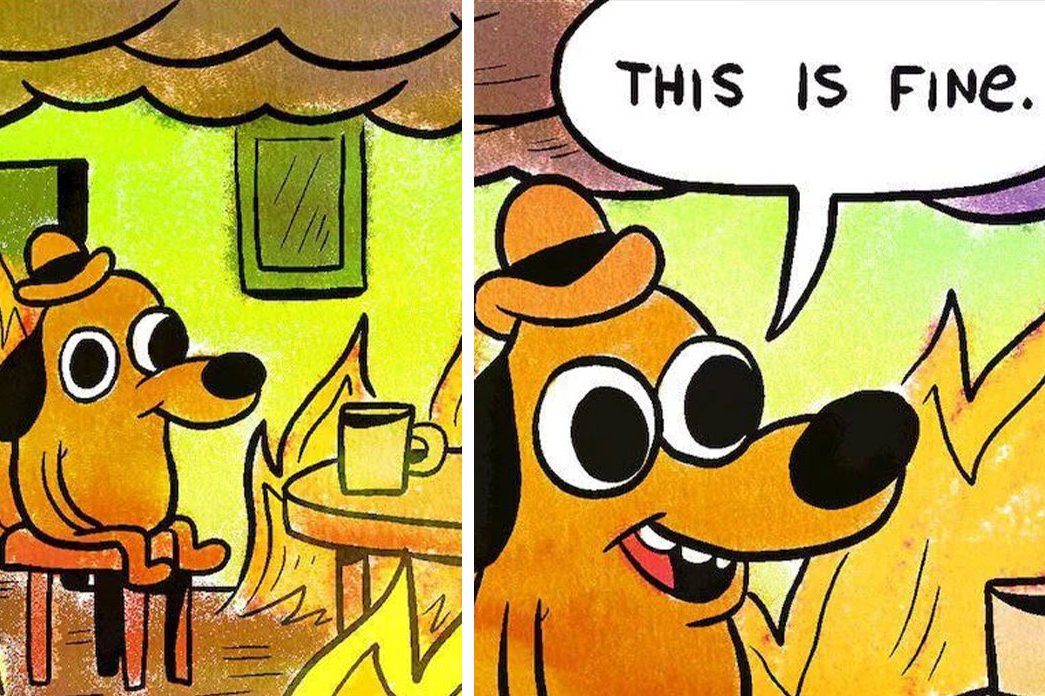 phoenixea tweet media