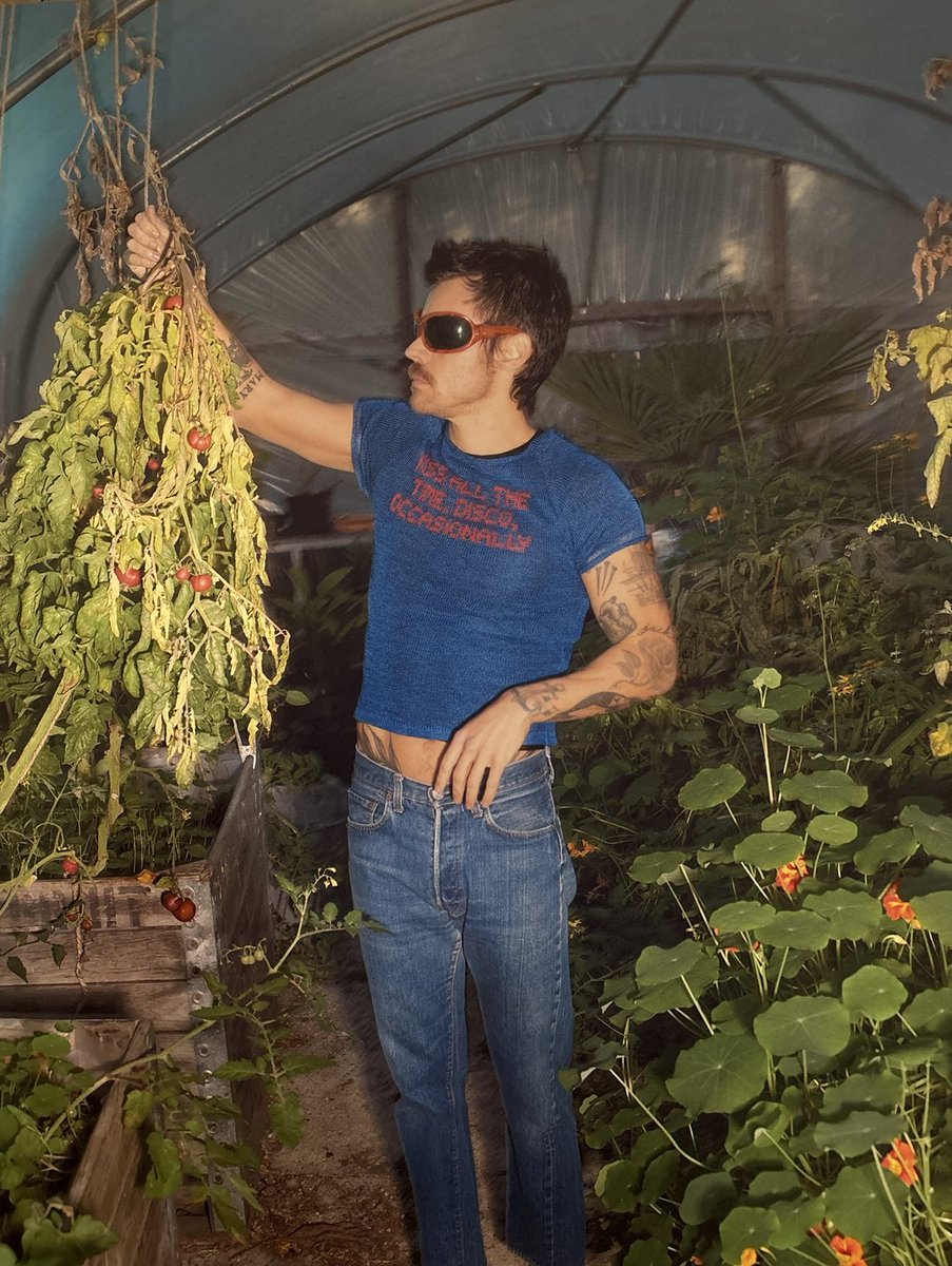 KISS ALL THE TIME. DISCO, OCCASIONALLY ✨🪩