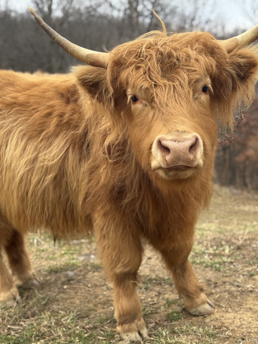 Cache Walker tweet media