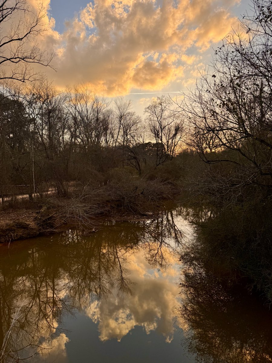 EddieErdmann's tweet image. Scenes from tonight’s trail run
#sunsetreflection #Suwanee #NorthGeorgia #trailrunning