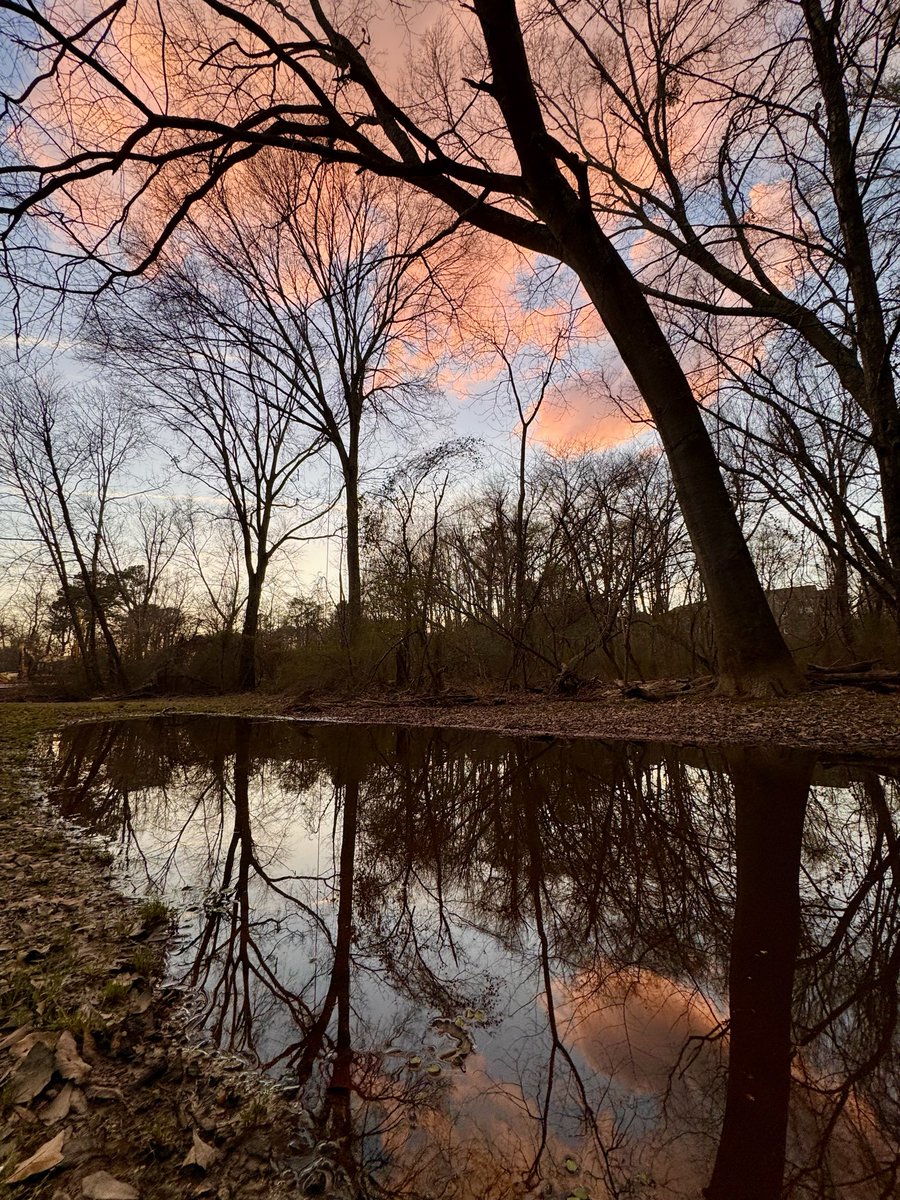EddieErdmann's tweet image. Scenes from tonight’s trail run
#sunsetreflection #Suwanee #NorthGeorgia #trailrunning