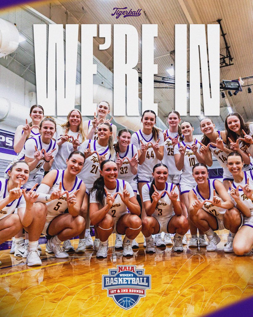 ONU Tigerball tweet media