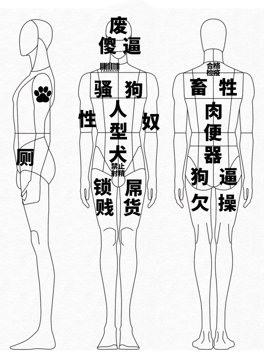 蓝狗（vita） tweet media