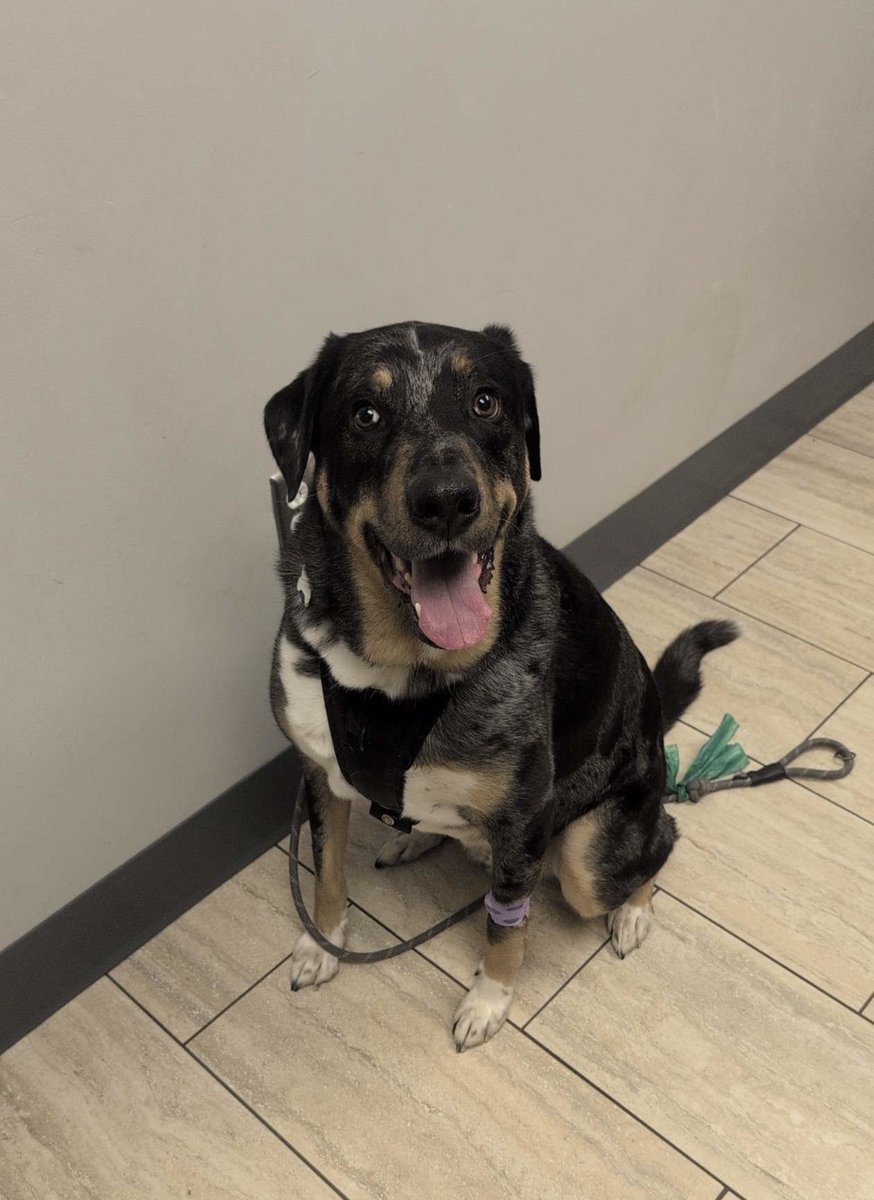 gaytor tot tweet media