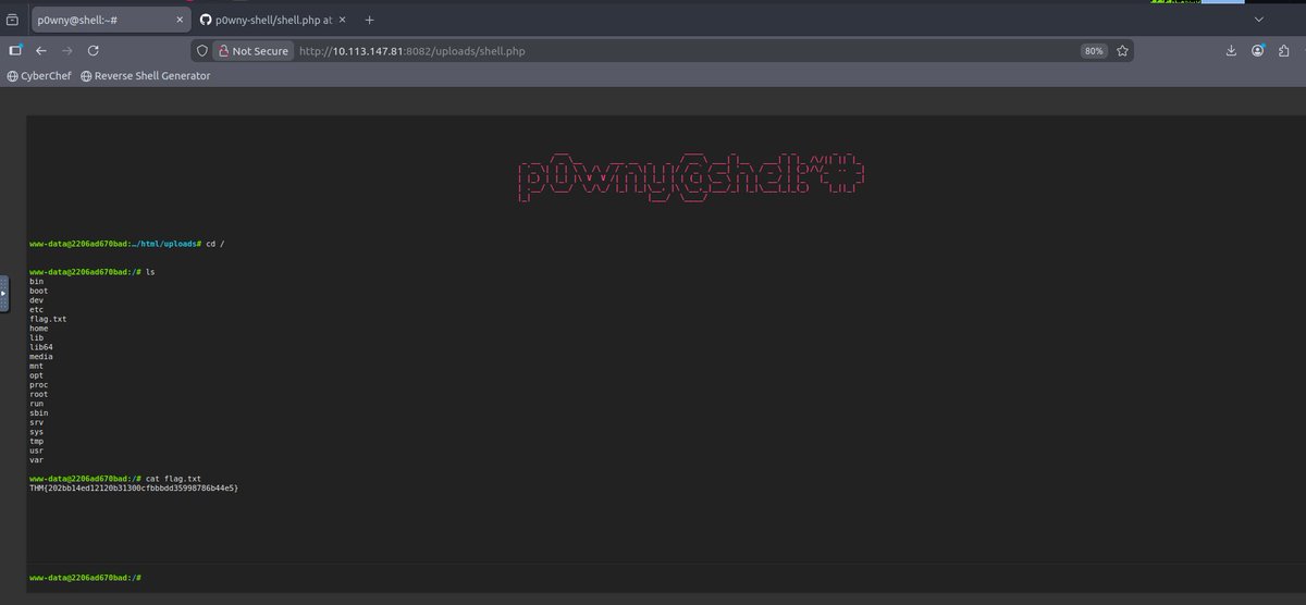 phoenixea tweet media