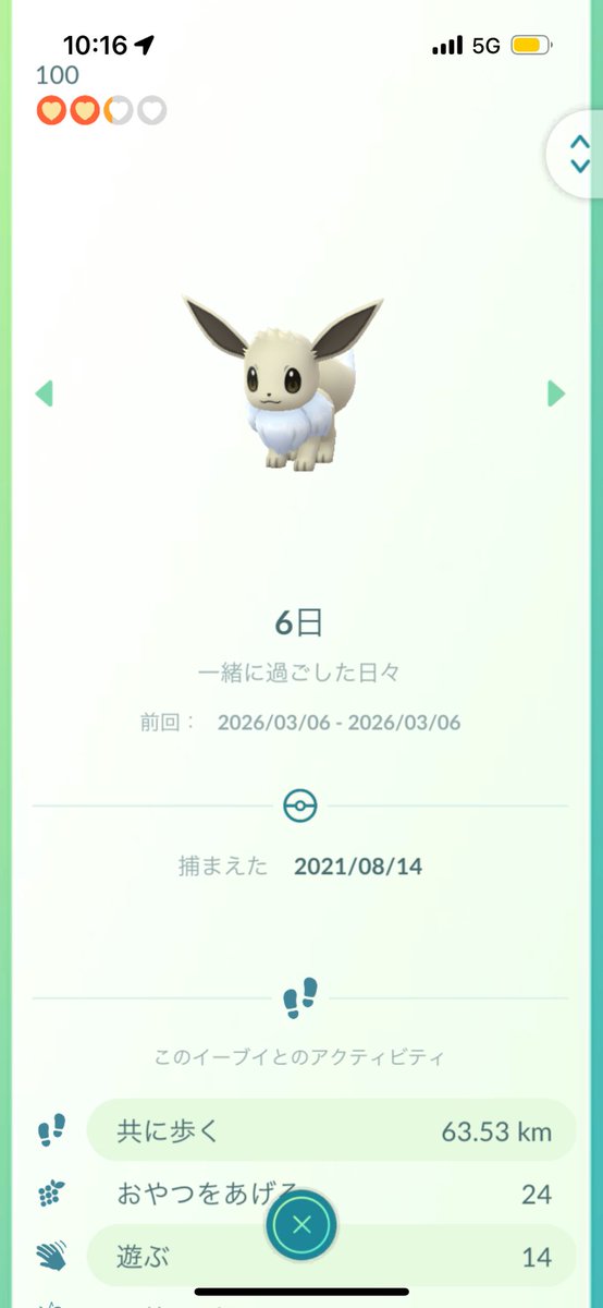 これでニンフィアに進化できないんだけどなんで？？？？