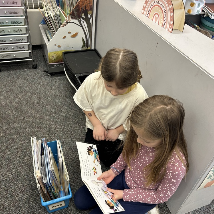 Solon CSD tweet media