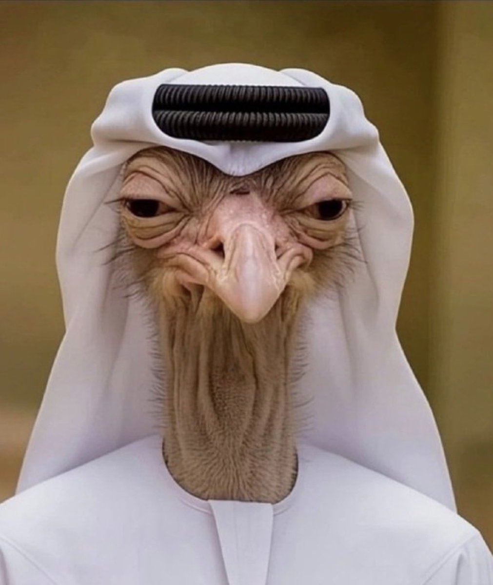 شوق 🇸🇦 tweet media