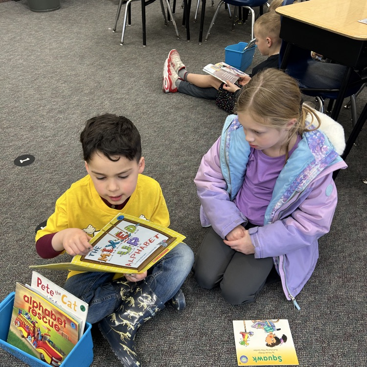 Solon CSD tweet media