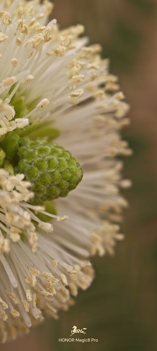 عادل محمد tweet media