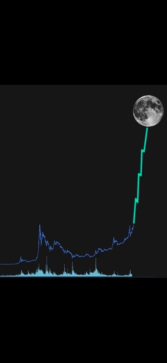 TheDigitX12's tweet photo. What memecoin do you think is gonna pump?🔥🪂

#Crypto #INDvsENG #pumping https://t.co/bSi8iMKtDH
