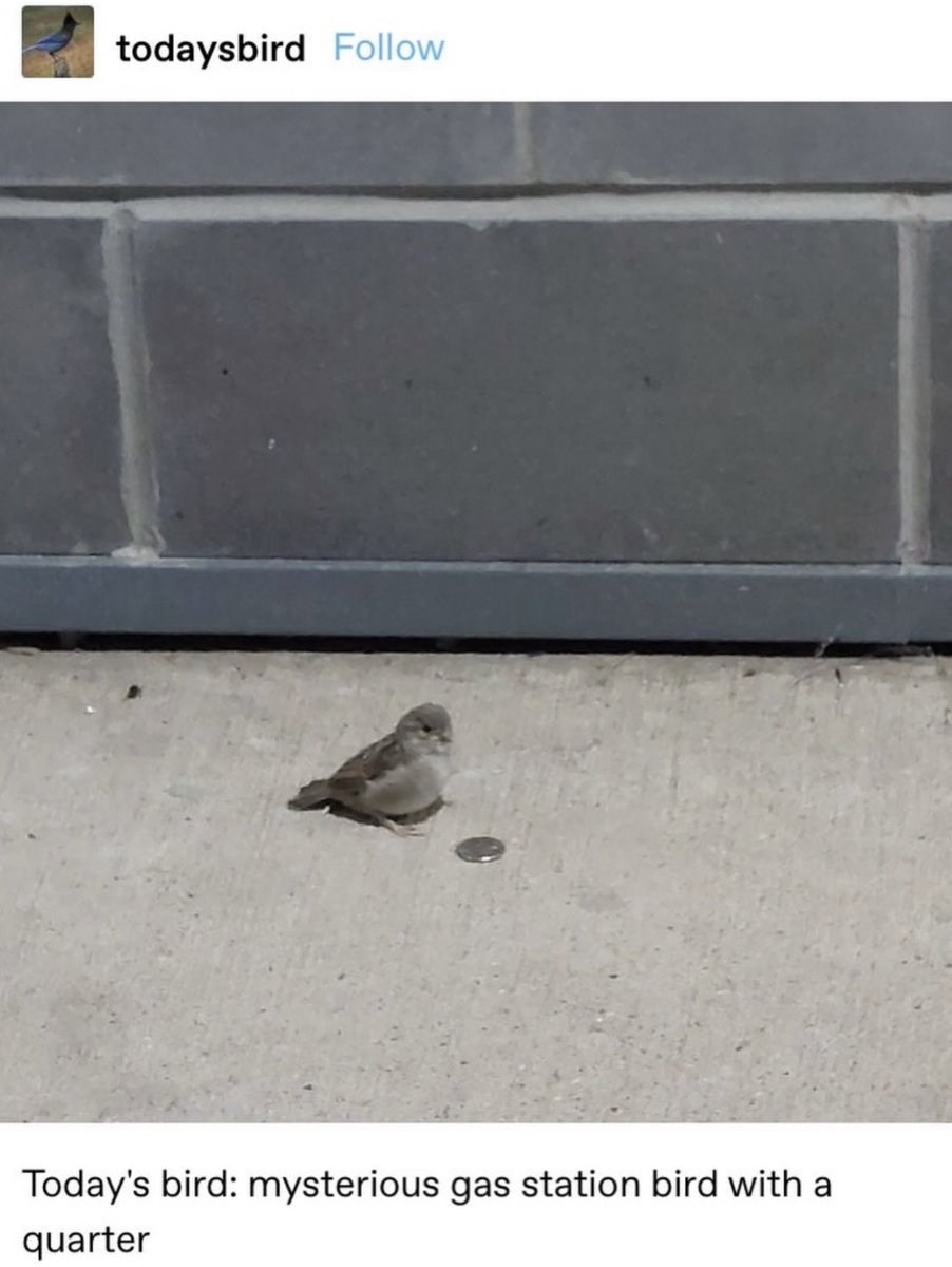 Respectful Memes tweet media