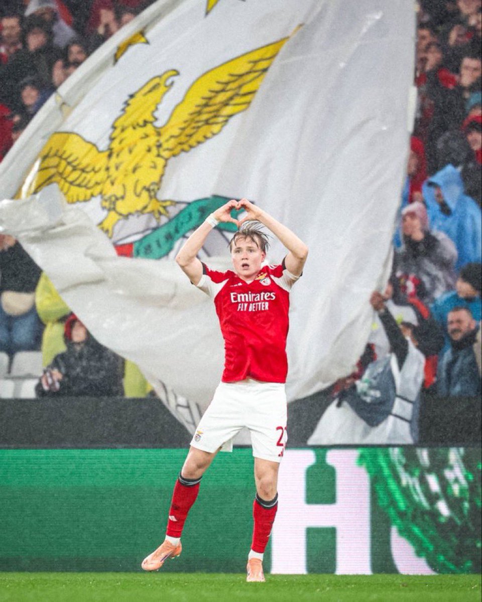 Andreas Schjelderup está perto de renovar com o Benfica. 💎